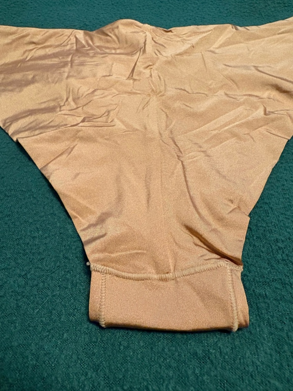 SKIMS Nude Bikini Panty - Picture 7 of 11